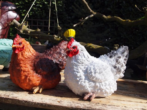 Huhn henne deko - huhn,