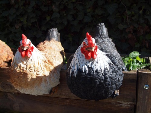 Huhn henne deko - huhn,