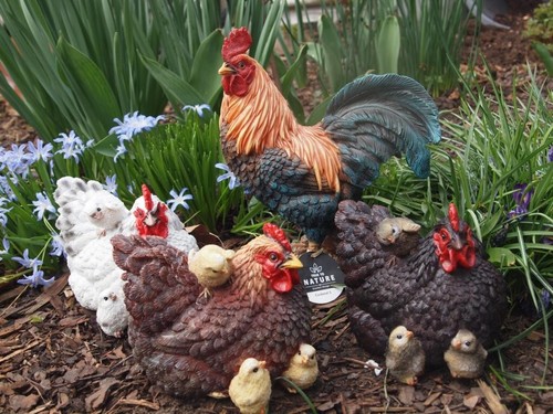 Huhn mit küken - huhn,