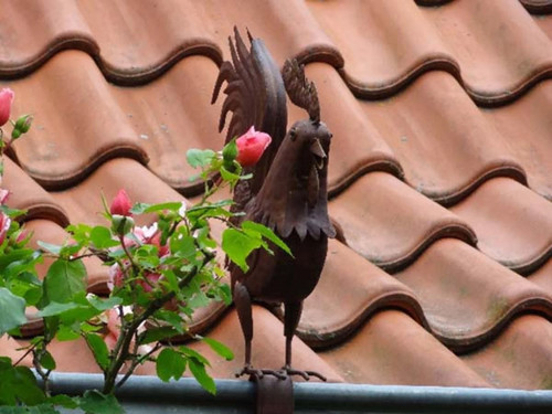 Dachrinnen und zaun figur hahn - dachrinnen, zaun-figur