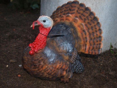 Truthahn pute turkey deko - pute,