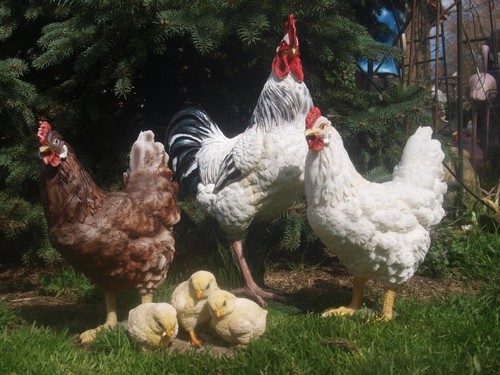 Hahn huhn figur deko - figur,